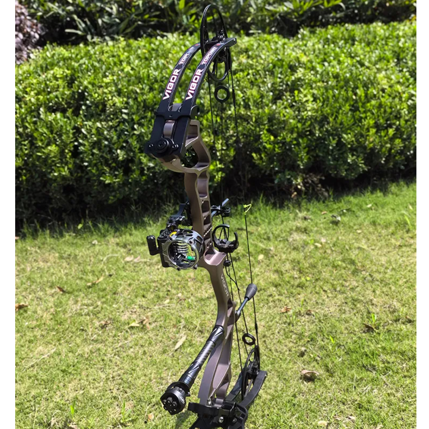 TOPOINT DAIBOW VIGOR Hunting Compound Bow  High Speed 350 FPS