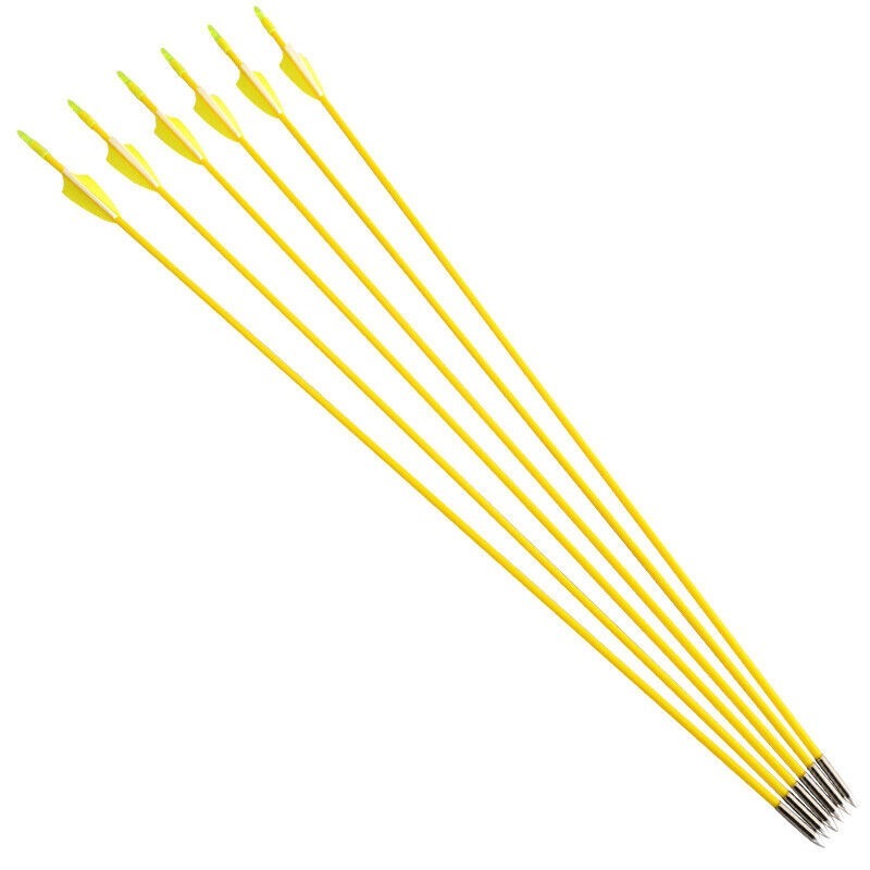 31" Fiberglass Arrows Target Practice Recurve Bow Hunting Shooting