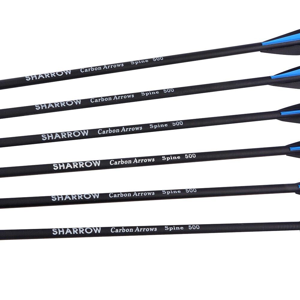 500 Spine Carbon Arrows Hunting & Target Practice (12-Pack)