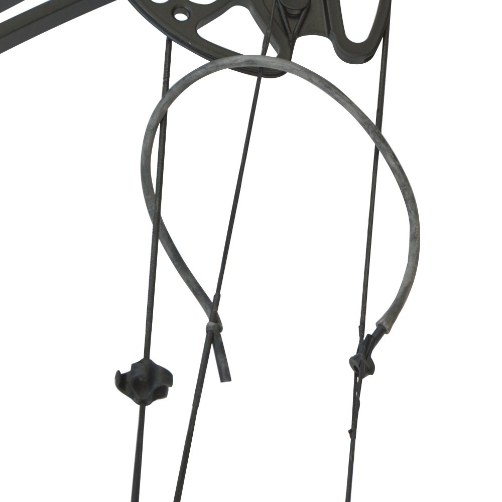 Compound Bow Arrows Set 320 FPS 30-70lb Hunting