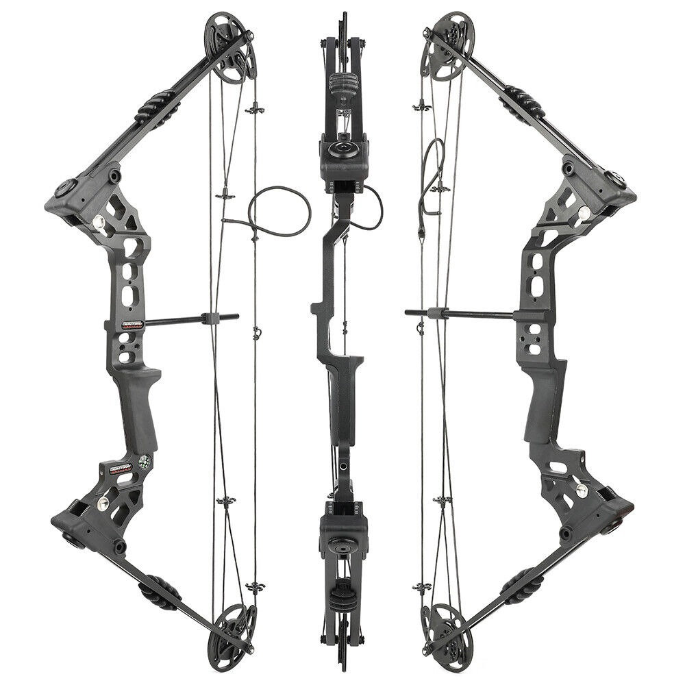 JUNXING Dragon X8 Compound Bow Set Hunting Fishing Arrow Kit 20-70 lbs