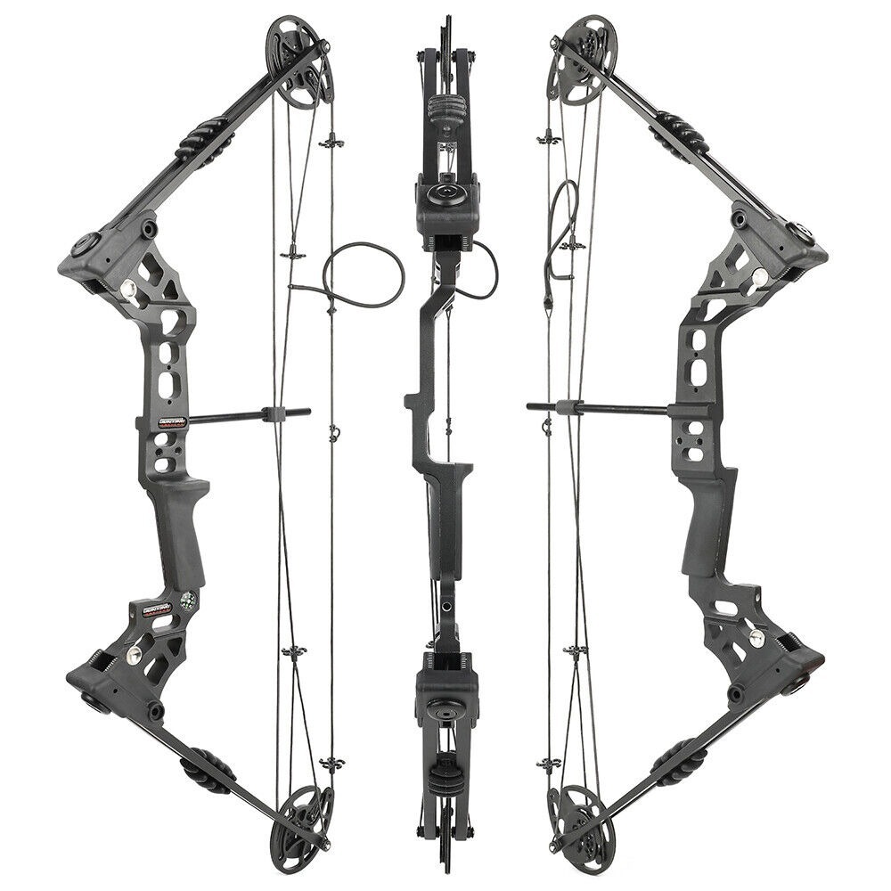 JUNXING Dragon X8 Compound Bow Set Hunting Fishing Arrow Kit 20-70 lbs