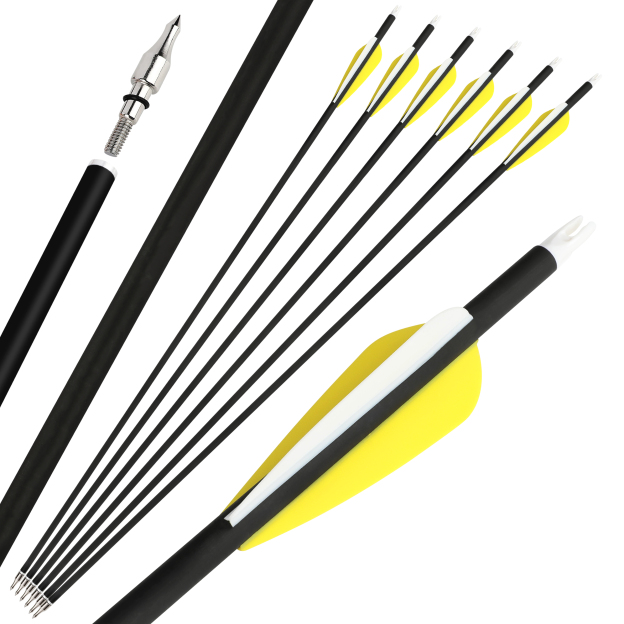 30" Carbon Arrows Spine 500 TPU Vanes Target Practice and Hunting