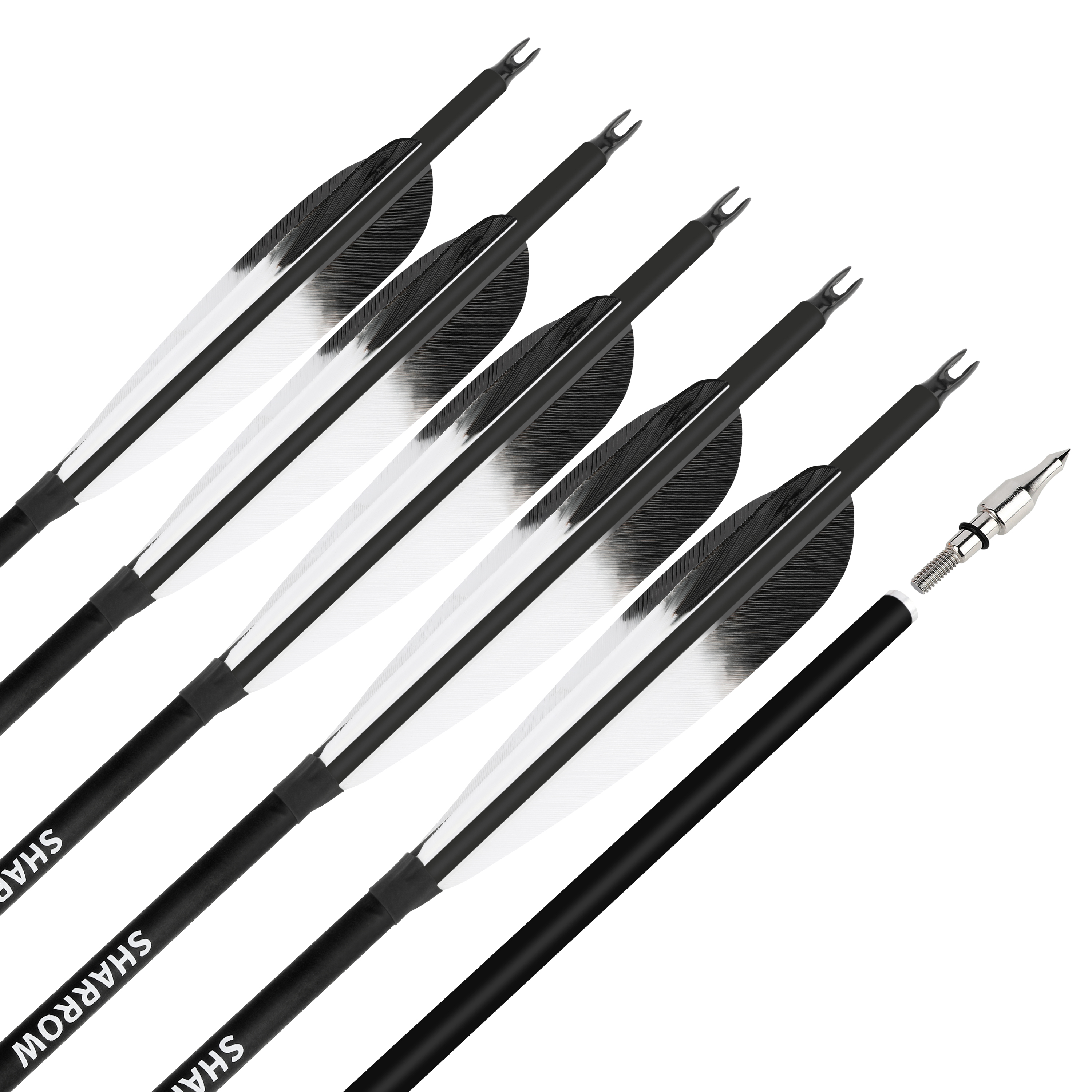 Carbon Arrows Turkey Feather Spine 500 Recurve Bow Hunting