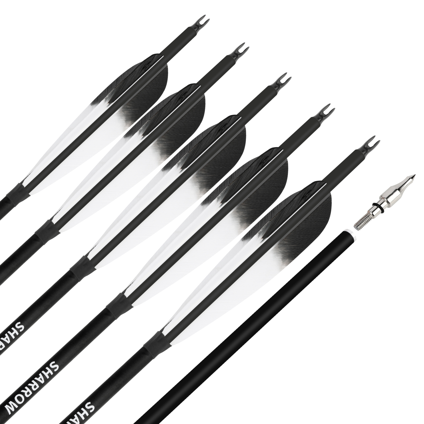 Carbon Arrows Turkey Feather Spine 500 Recurve Bow Hunting