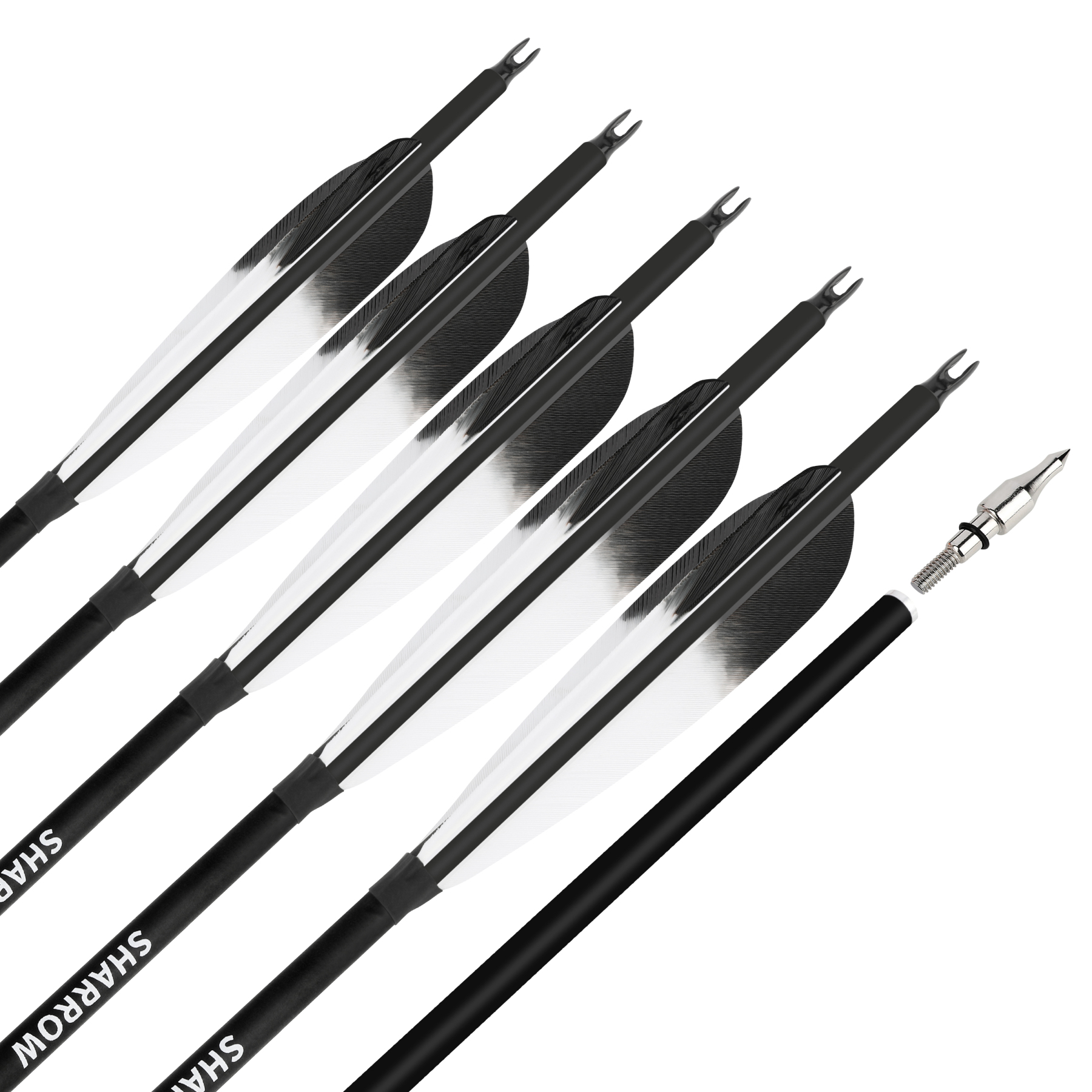 Carbon Arrows Turkey Feather Spine 500 Recurve Bow Hunting