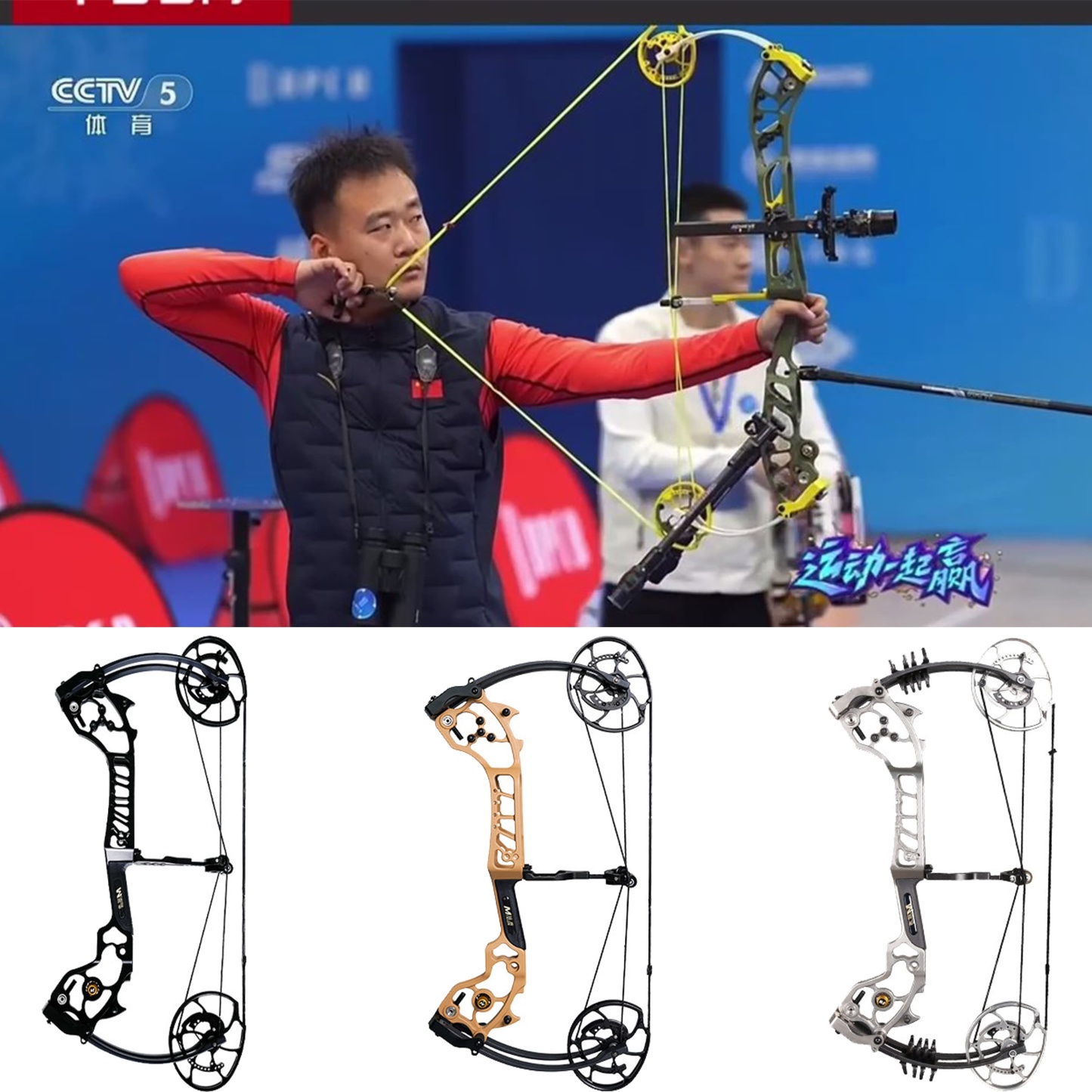 AGS Compound Bow 0-70lbs Archery 80% Let Off Target Shooting