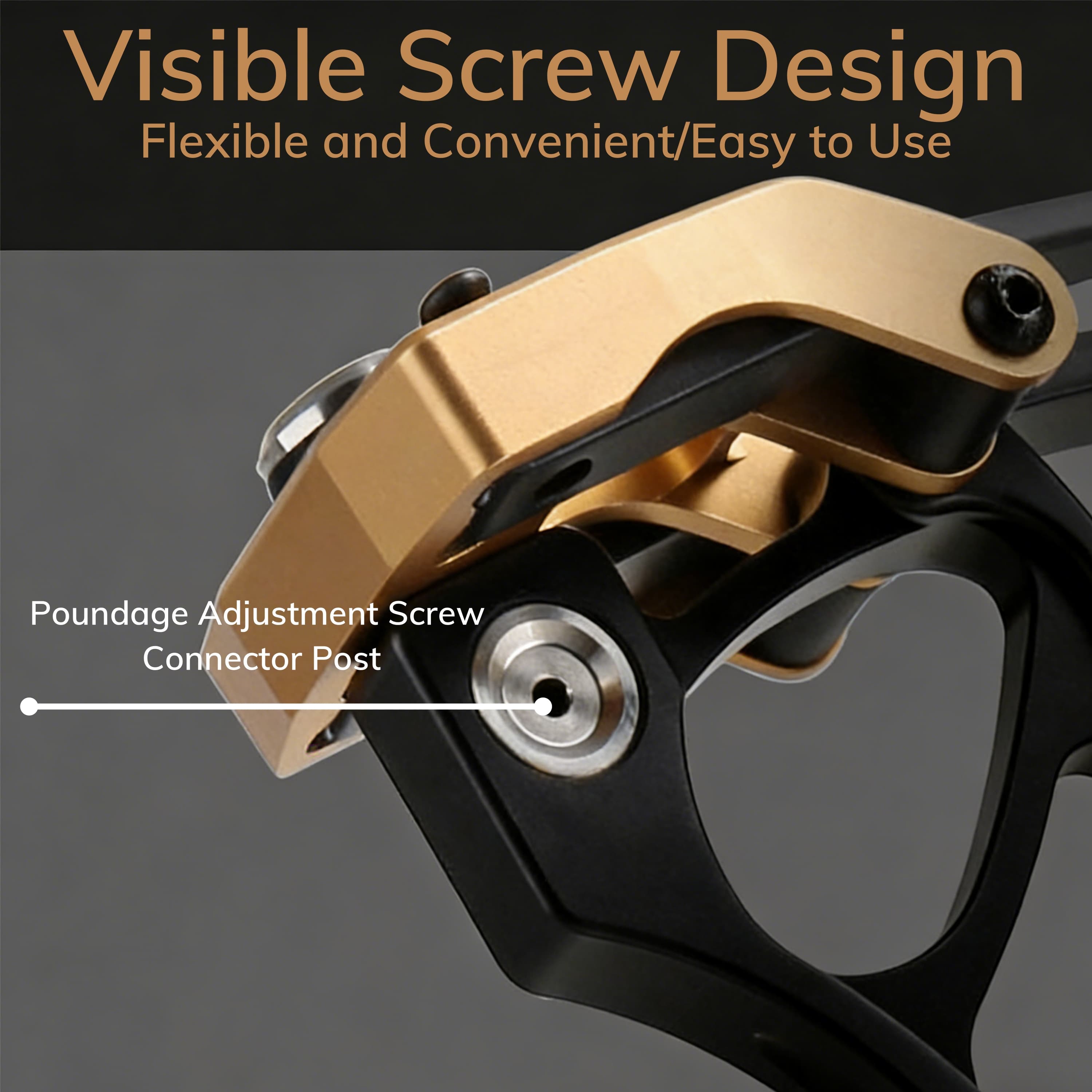 AGS Compound Bow 40-70lbs Archery 350 FPS Target Shooting