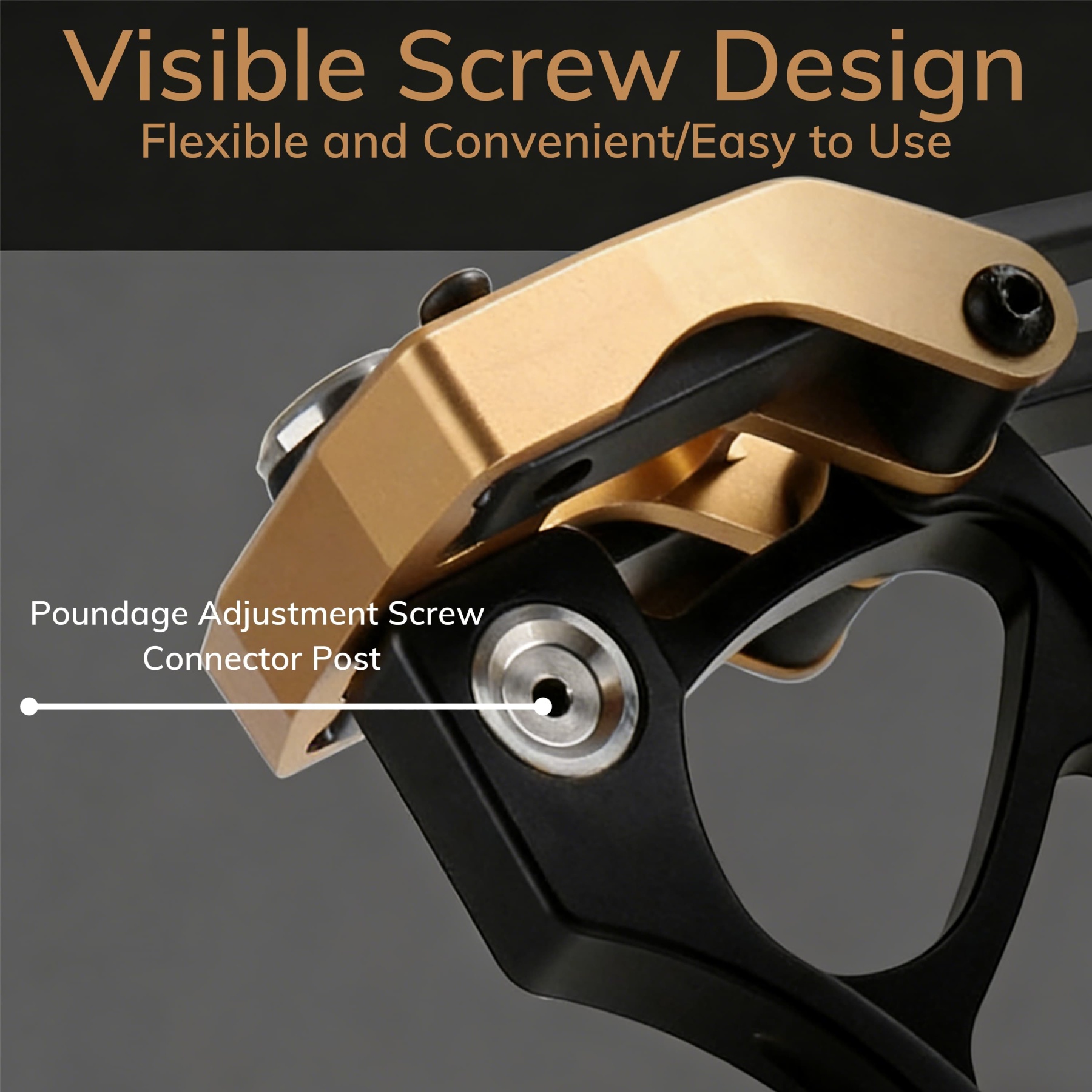 AGS Compound Bow 40-70lbs Archery 350 FPS Target Shooting