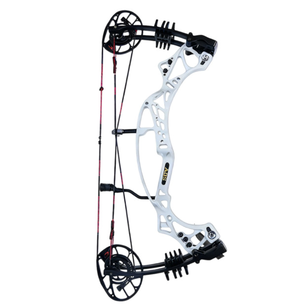AGS Compound Bow 40-70lbs Archery 350 FPS Target Shooting