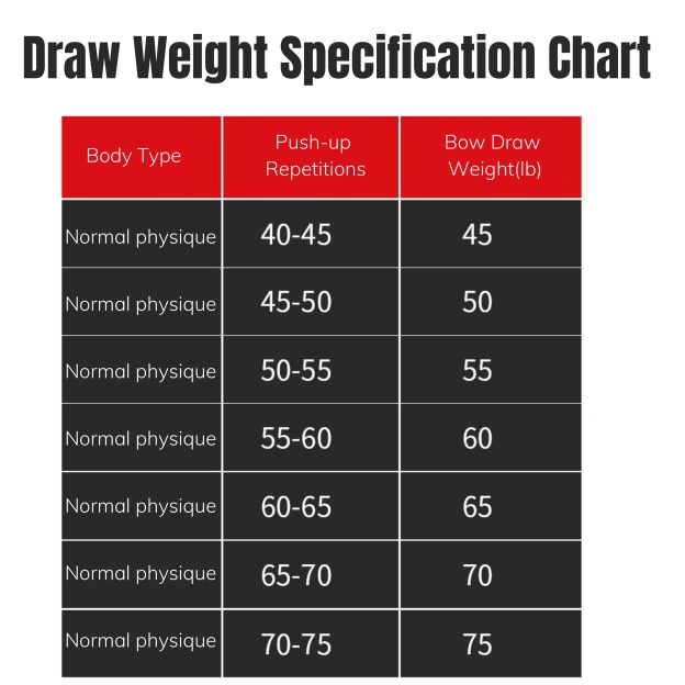 AGS Archery Compound Bow Arrows 45-75lbs Target Shooting RH