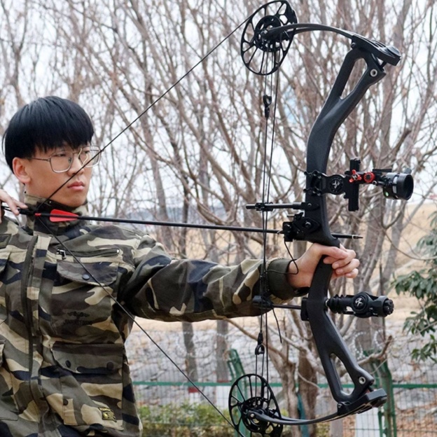 AGS Archery Compound Bow Arrows 45-75lbs Target Shooting RH