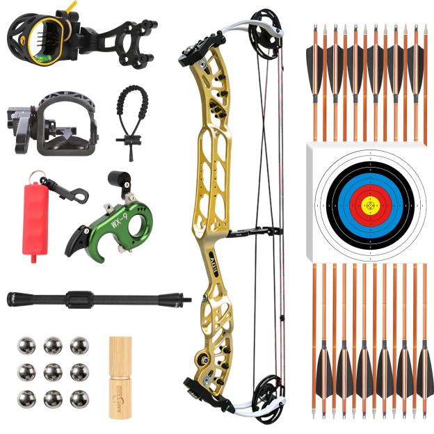 AGS Compound Bow 30-60lbs Hunting Kit Shooting Archery