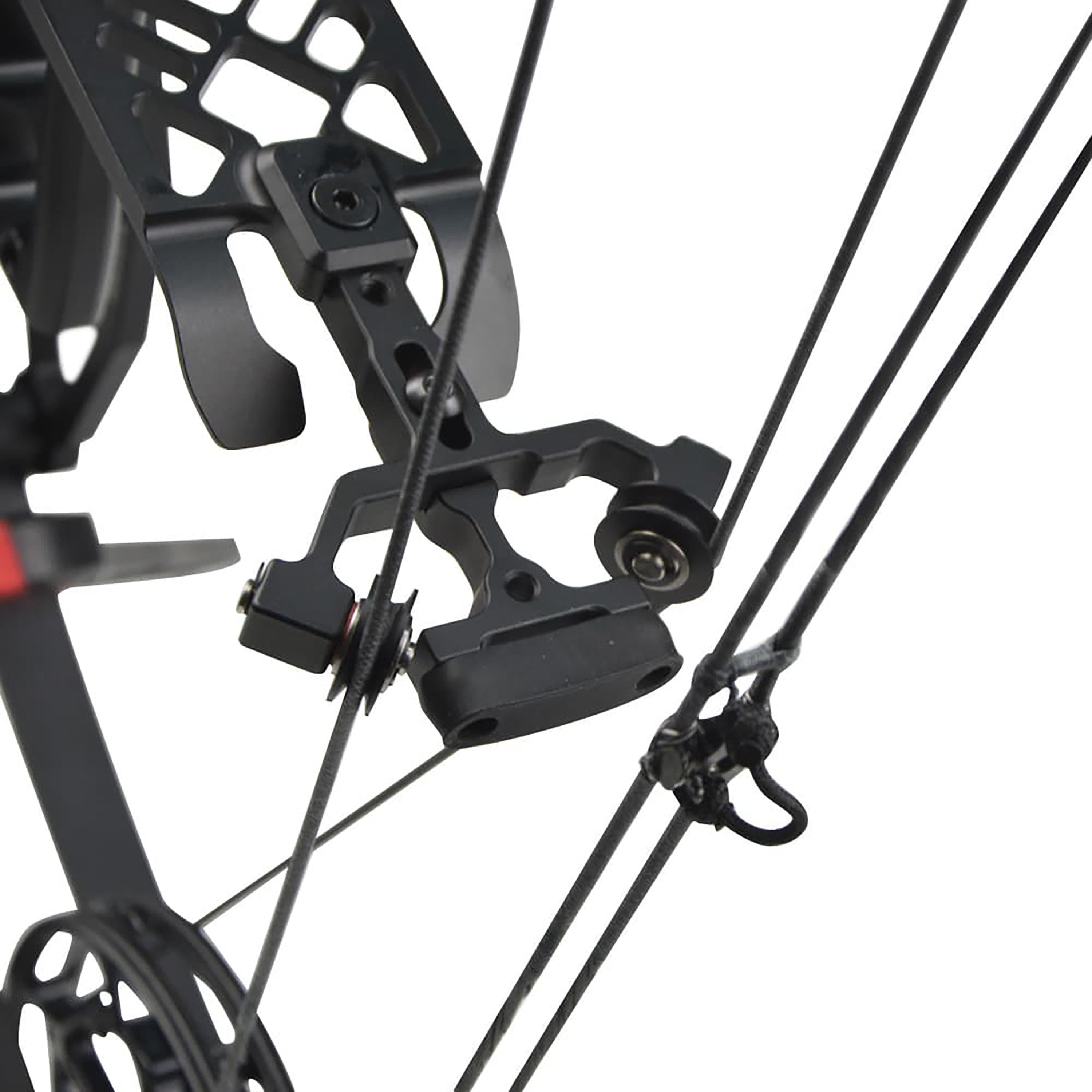 WOLFMAN Compound Bow 40-60lbs Archery Hunting Shooting