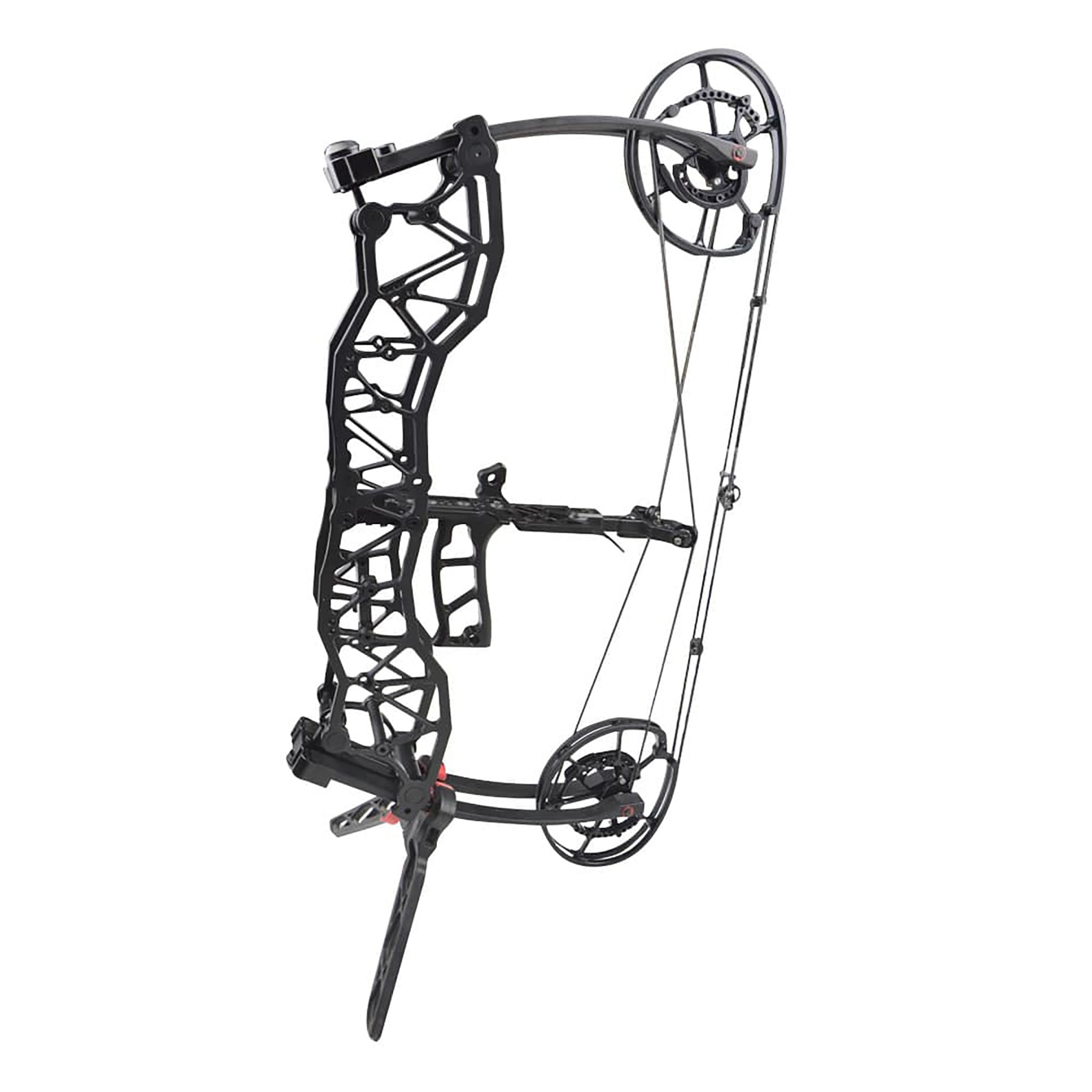 WOLFMAN Compound Bow 40-60lbs Archery Hunting Shooting