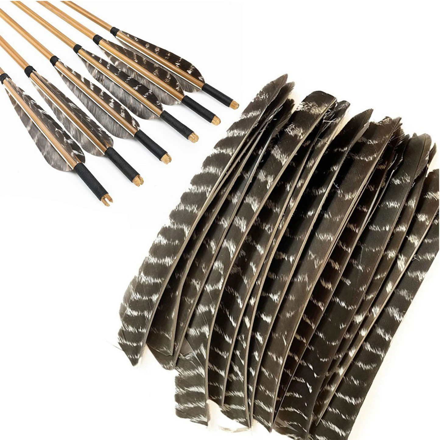 Right Left Wing Turkey Feather Fletching for Archery Arrows  50X