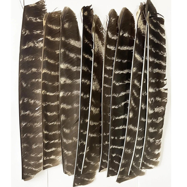 Right Left Wing Turkey Feather Fletching for Archery Arrows  50X
