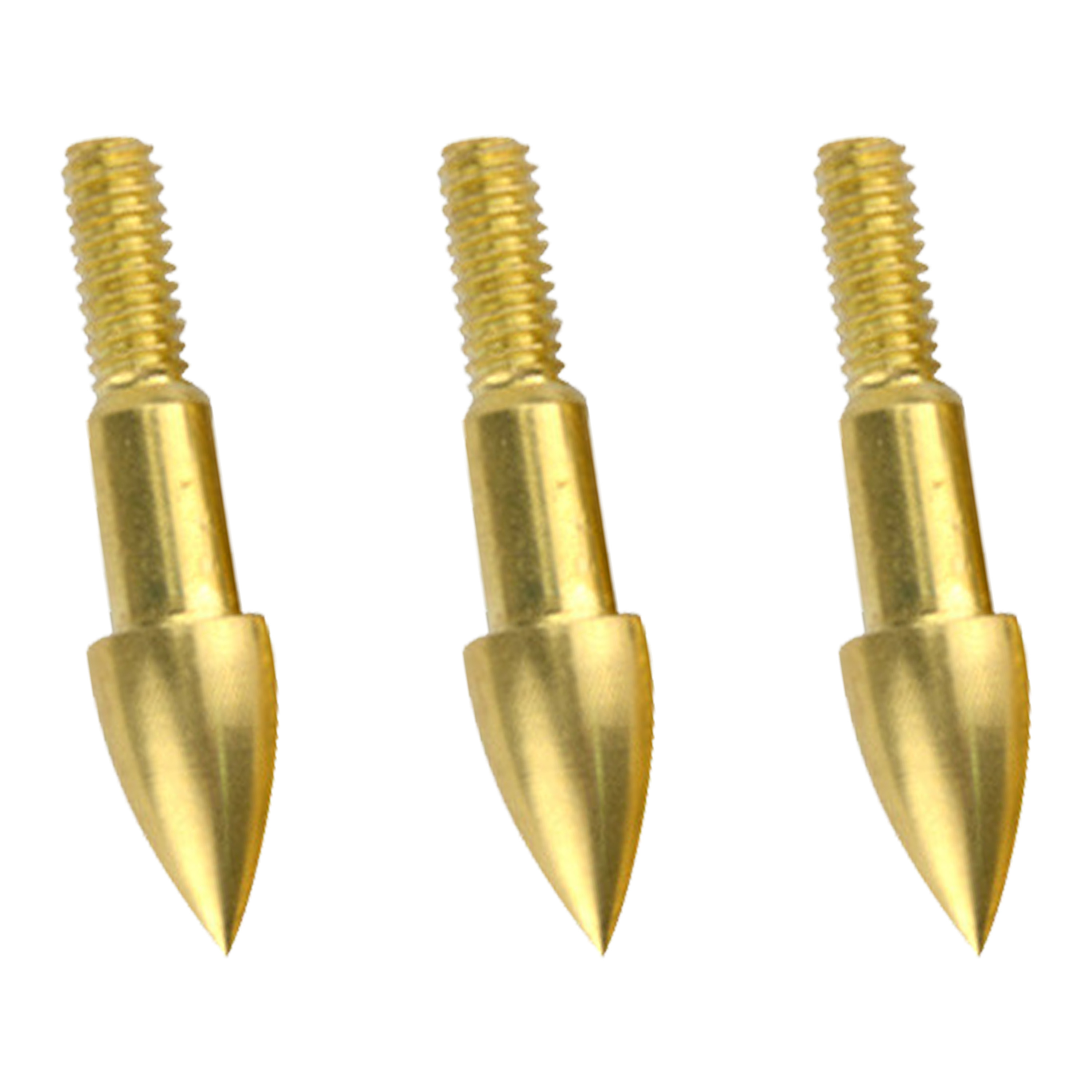 Archery Points Screw-In Target Tips for Practice 60 65 75 100 grain