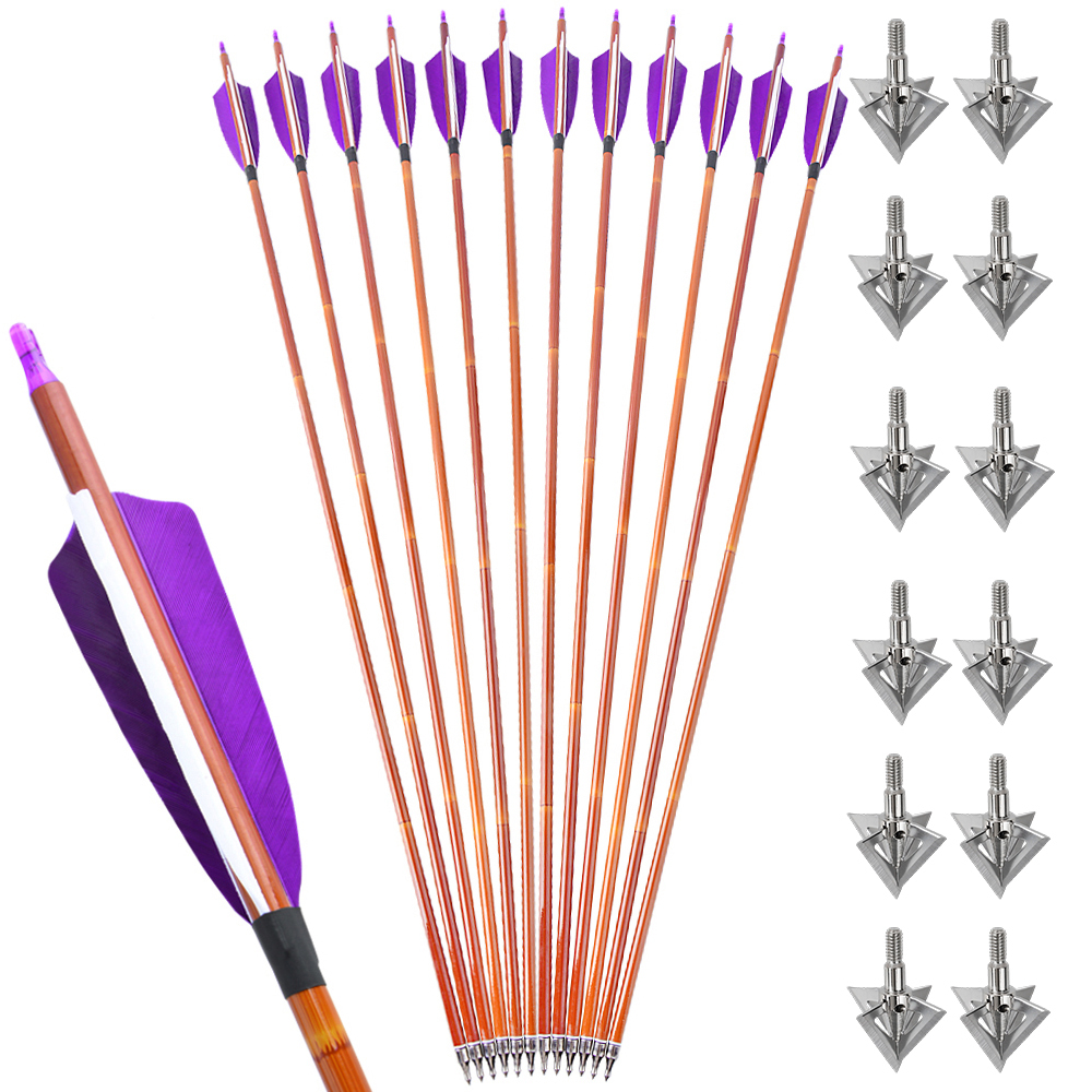 12pcs 30" Mixed Carbon Bamboo Pattern Arrows with 12 Bonus Cross-Star Arrowheads – Multi-Color Target Set