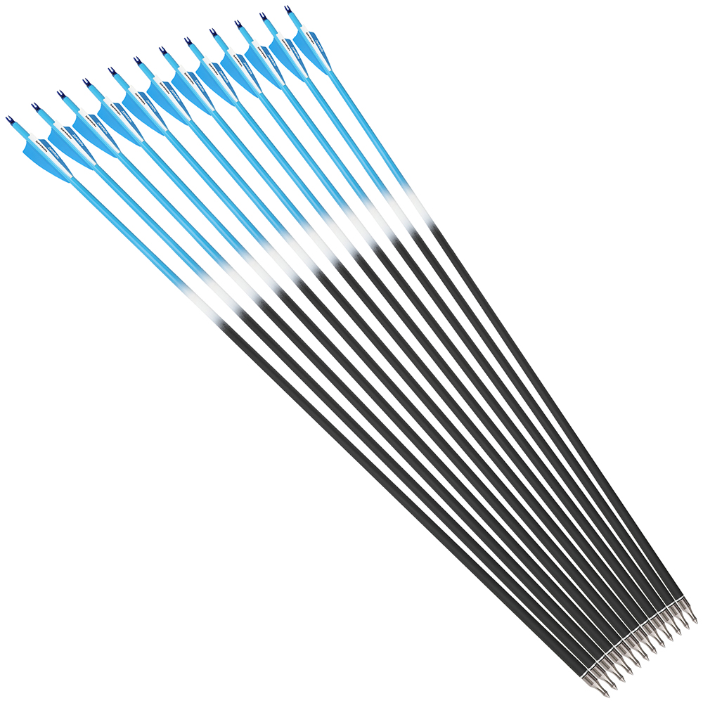 Carbon Arrows 12pcs 30 in Color Fletched 500 Spine Shooting Set
