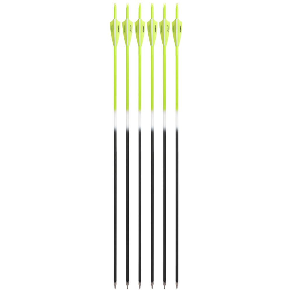 Carbon Arrows 12pcs 30 in Color Fletched 500 Spine Shooting Set