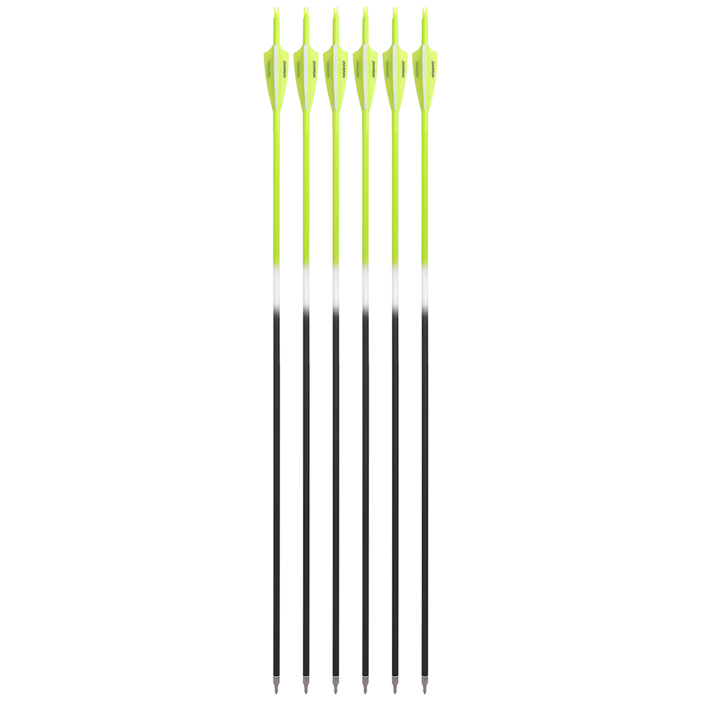 Carbon Arrows 12pcs 30 in Color Fletched 500 Spine Shooting Set
