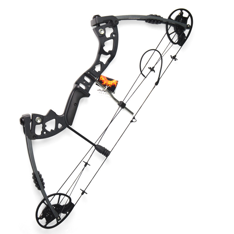 Junxing M125 Compound Bow Set 30-70lbs RH/LH 320FPS Hunting