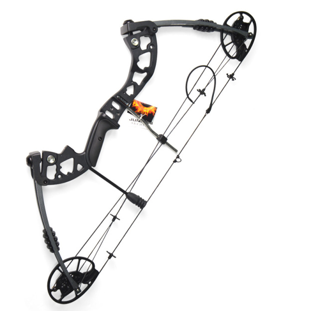 Junxing M125 Compound Bow Set 30-70lbs RH/LH 320FPS Hunting
