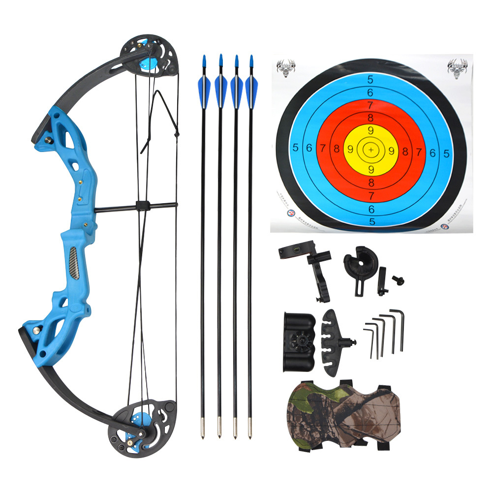 Close-up of double cam system on beginner compound bow