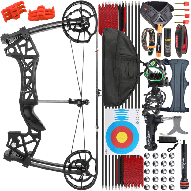 Dual Use Compound Bow 40-65lbs Carbon Arrows Steel Ball Kit