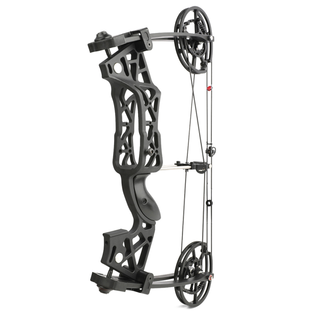 Dual Use Compound Bow 40-65lbs Carbon Arrows Steel Ball Kit