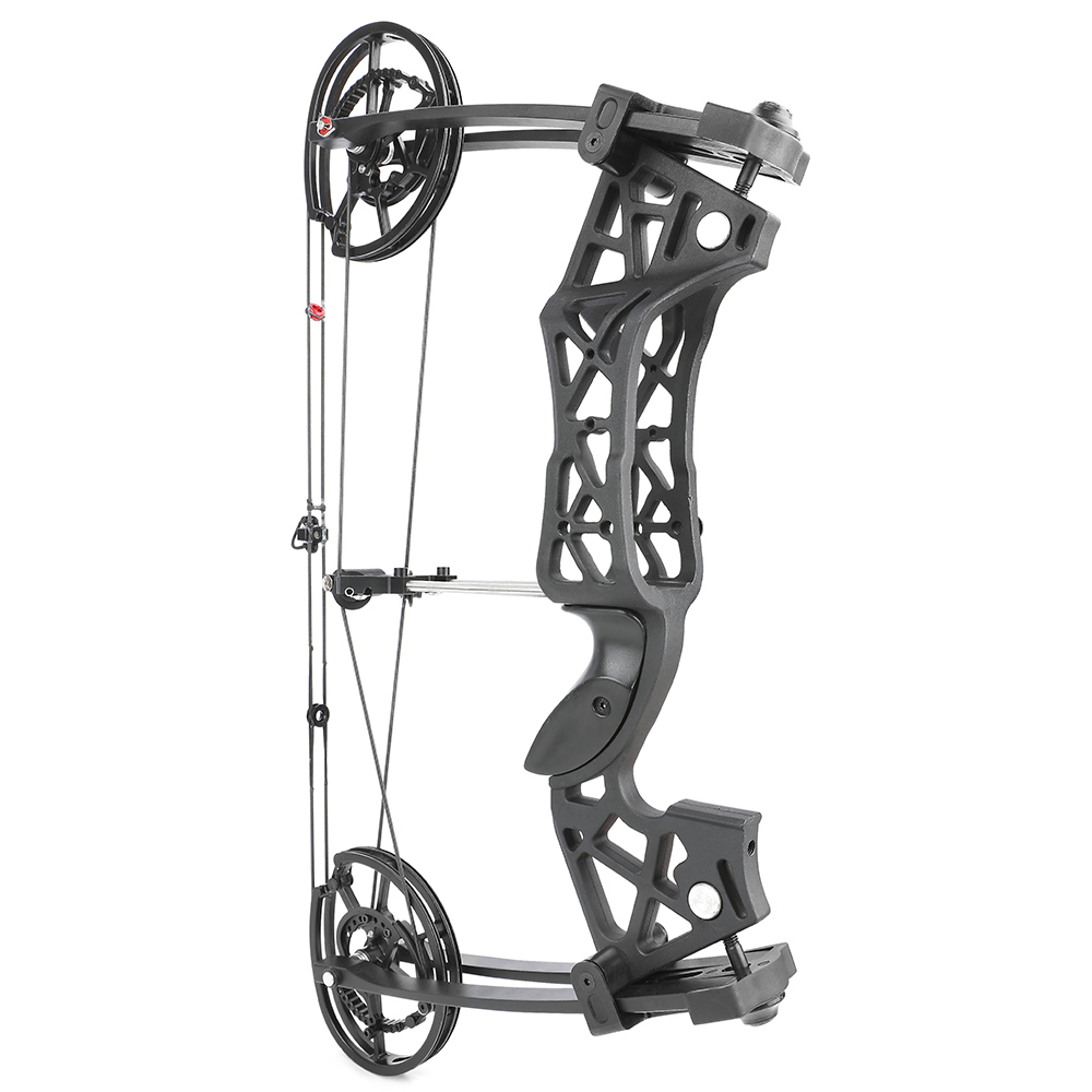 Dual Use Compound Bow 40-65lbs Carbon Arrows Steel Ball Kit