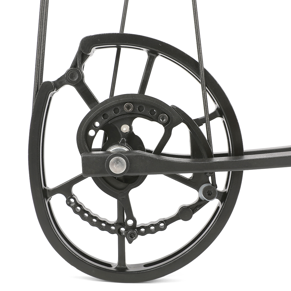 Dual Use Compound Bow 40-65lbs Carbon Arrows Steel Ball Kit