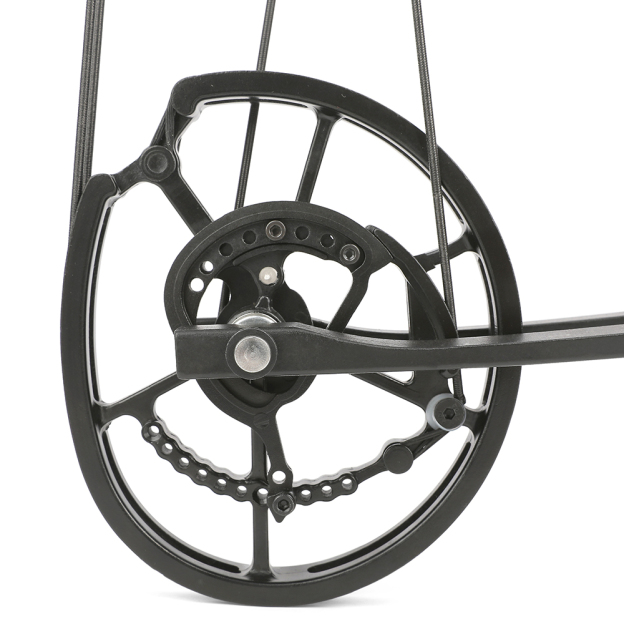 Dual Use Compound Bow 40-65lbs Carbon Arrows Steel Ball Kit