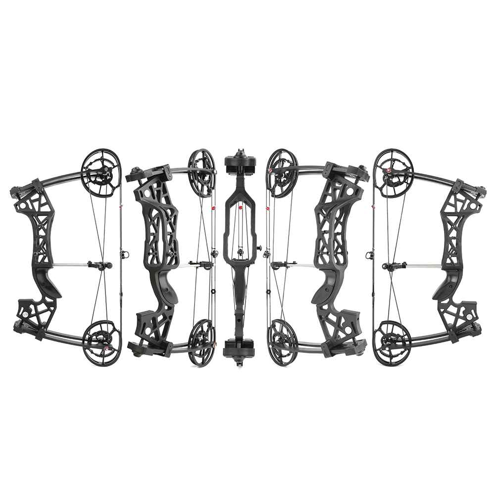 Dual Use Compound Bow 40-65lbs Carbon Arrows Steel Ball Kit