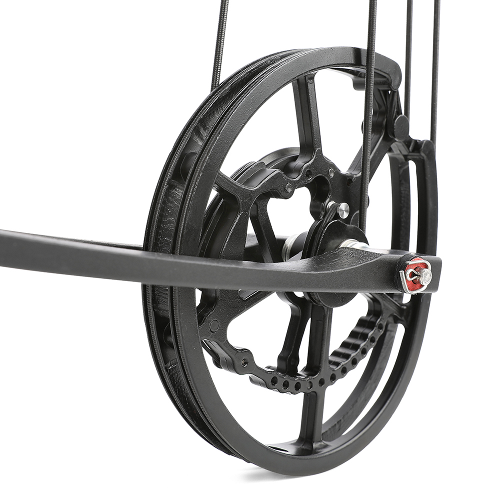 Dual Use Compound Bow 40-65lbs Carbon Arrows Steel Ball Kit