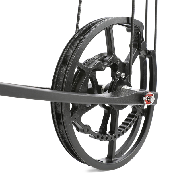 Dual Use Compound Bow 40-65lbs Carbon Arrows Steel Ball Kit