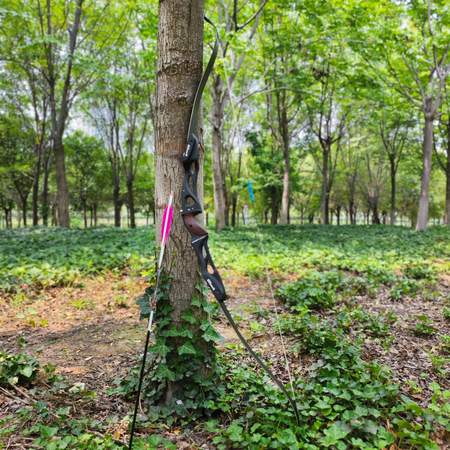 Topoint Endeavour R10 ILF Recurve Bow Set LH RH Competition Athletic