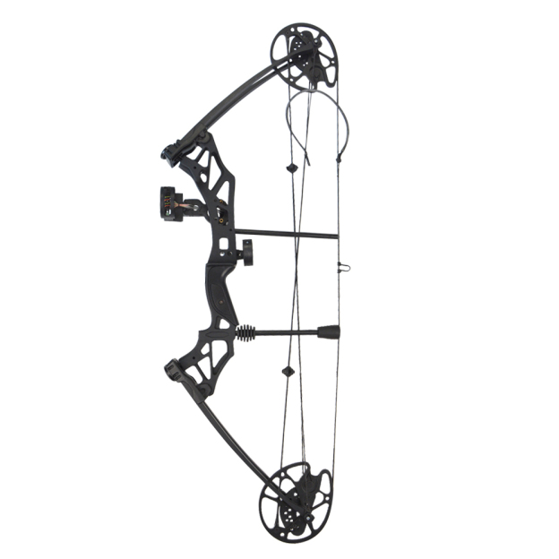 KAIMEI HAN Compound Bow 30-70lbs Archery Target Bow and Arrows