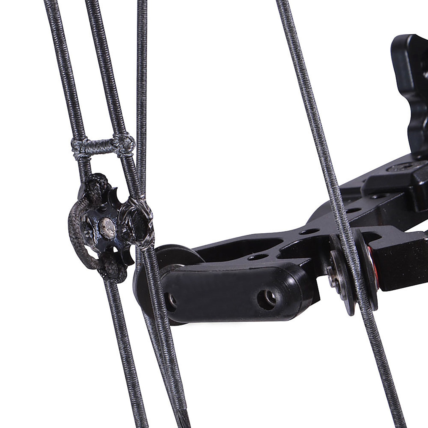 TUOLU Archery Compound Bow 35-65lbs Adjustable Hunting Bow