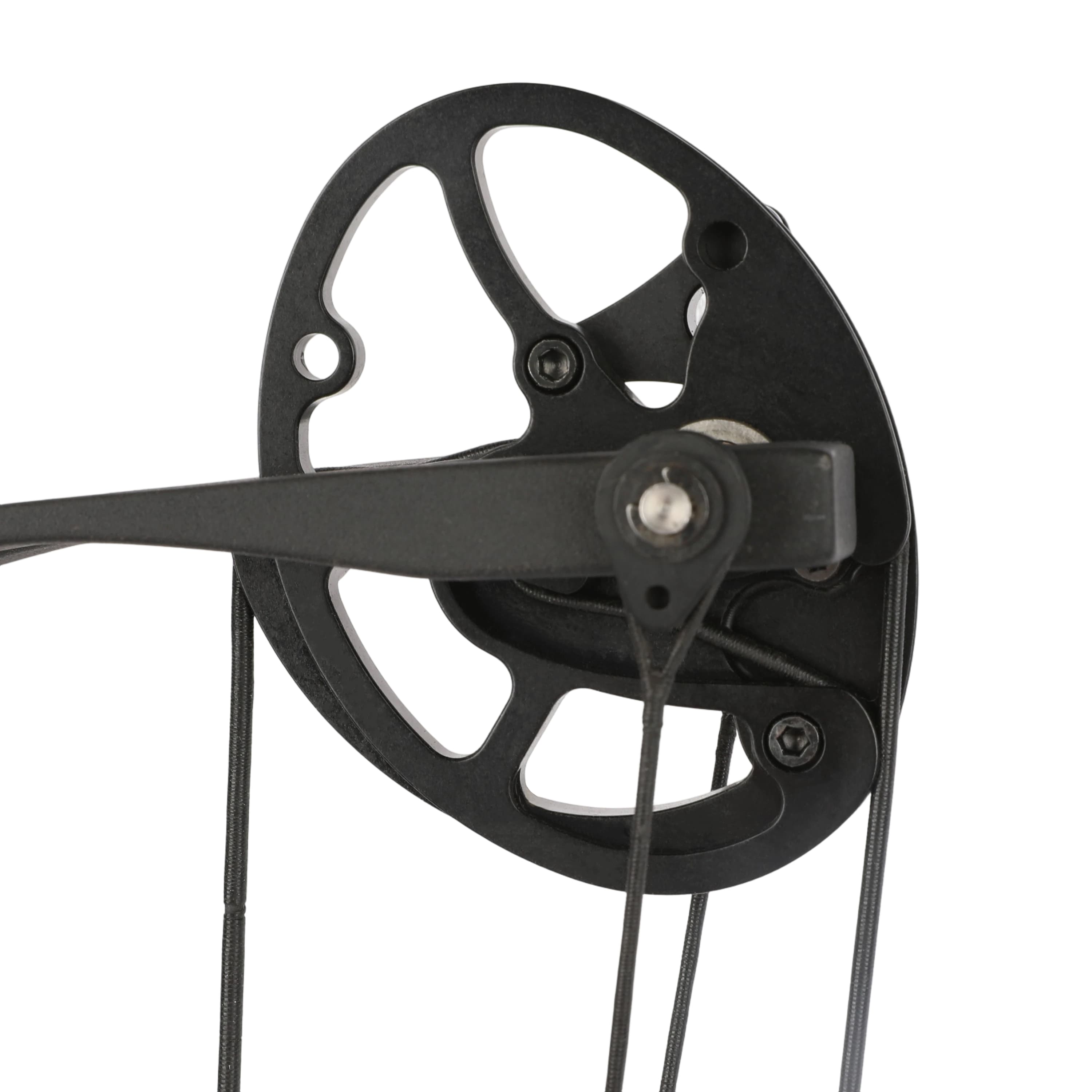 WOLFMAN 33-60lbs Professional Competitive Compound Bow Archery