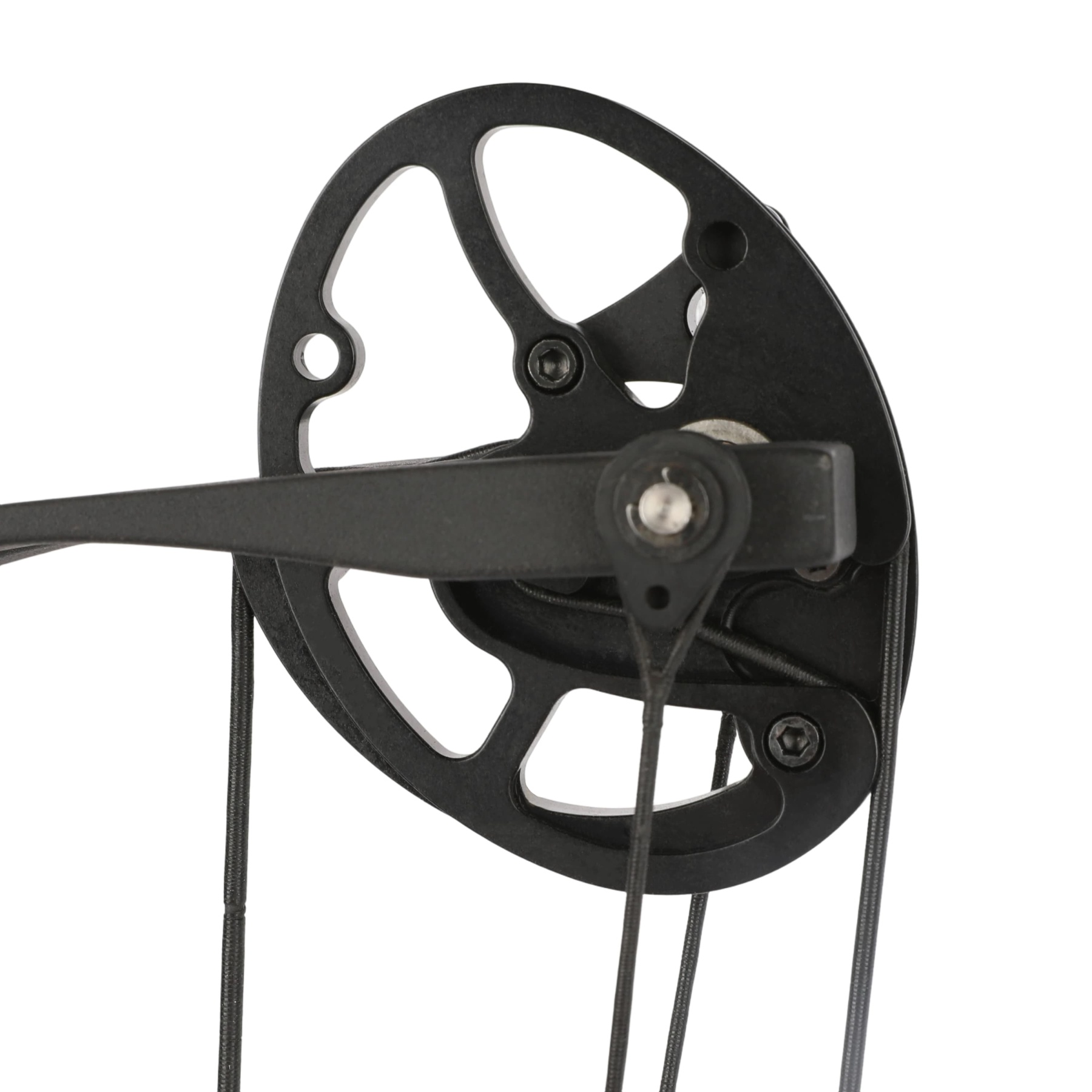 WOLFMAN 33-60lbs Professional Competitive Compound Bow Archery