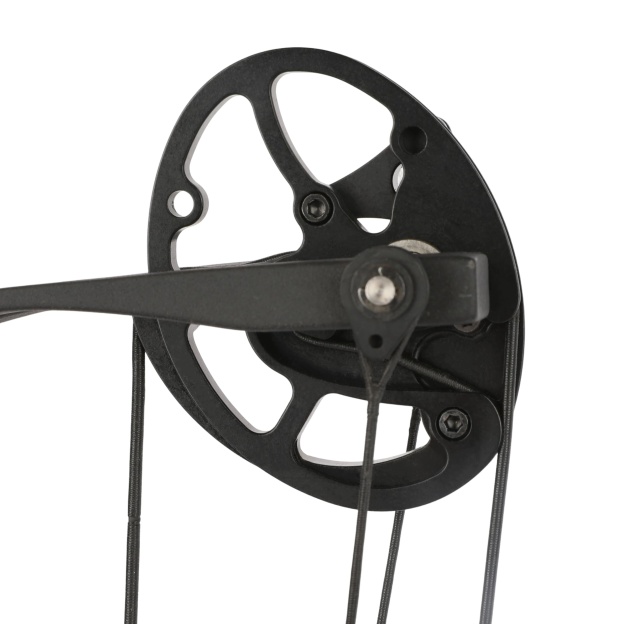 WOLFMAN 33-60lbs Professional Competitive Compound Bow Archery