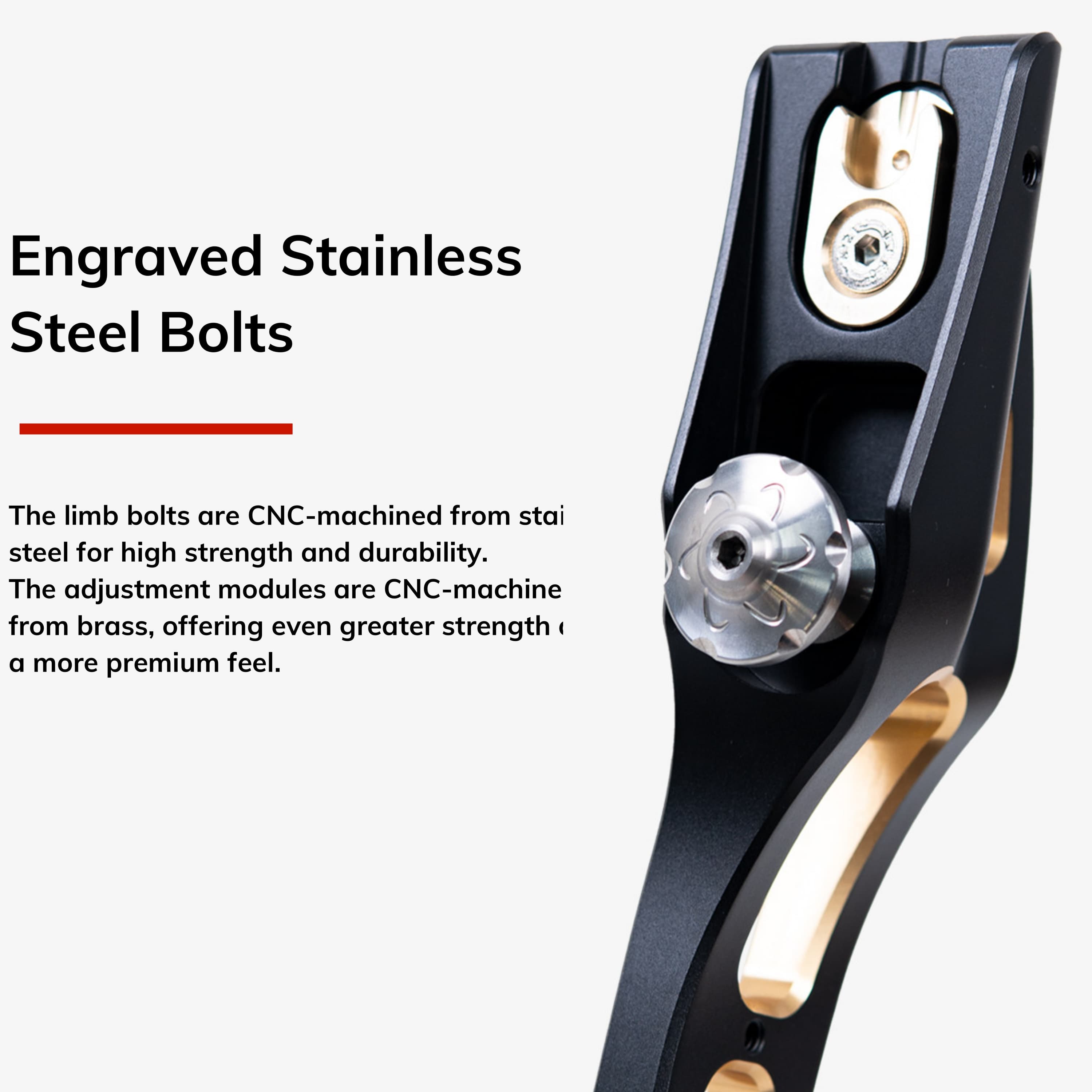 WOLFMAN Archery Takedown Recurve Bow Kit 20-55bs Shooting 