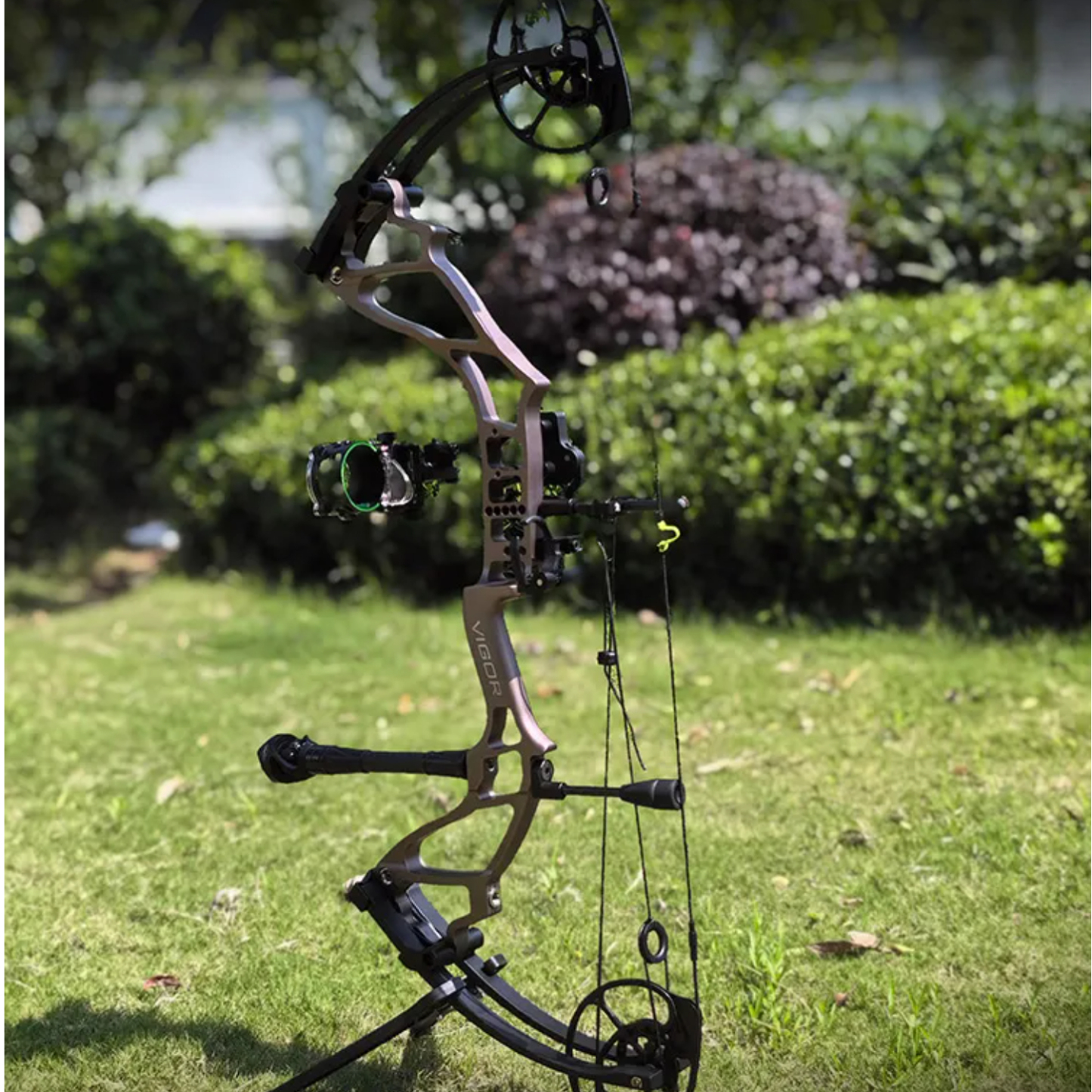 TOPOINT DAIBOW VIGOR Hunting Compound Bow  High Speed 350 FPS