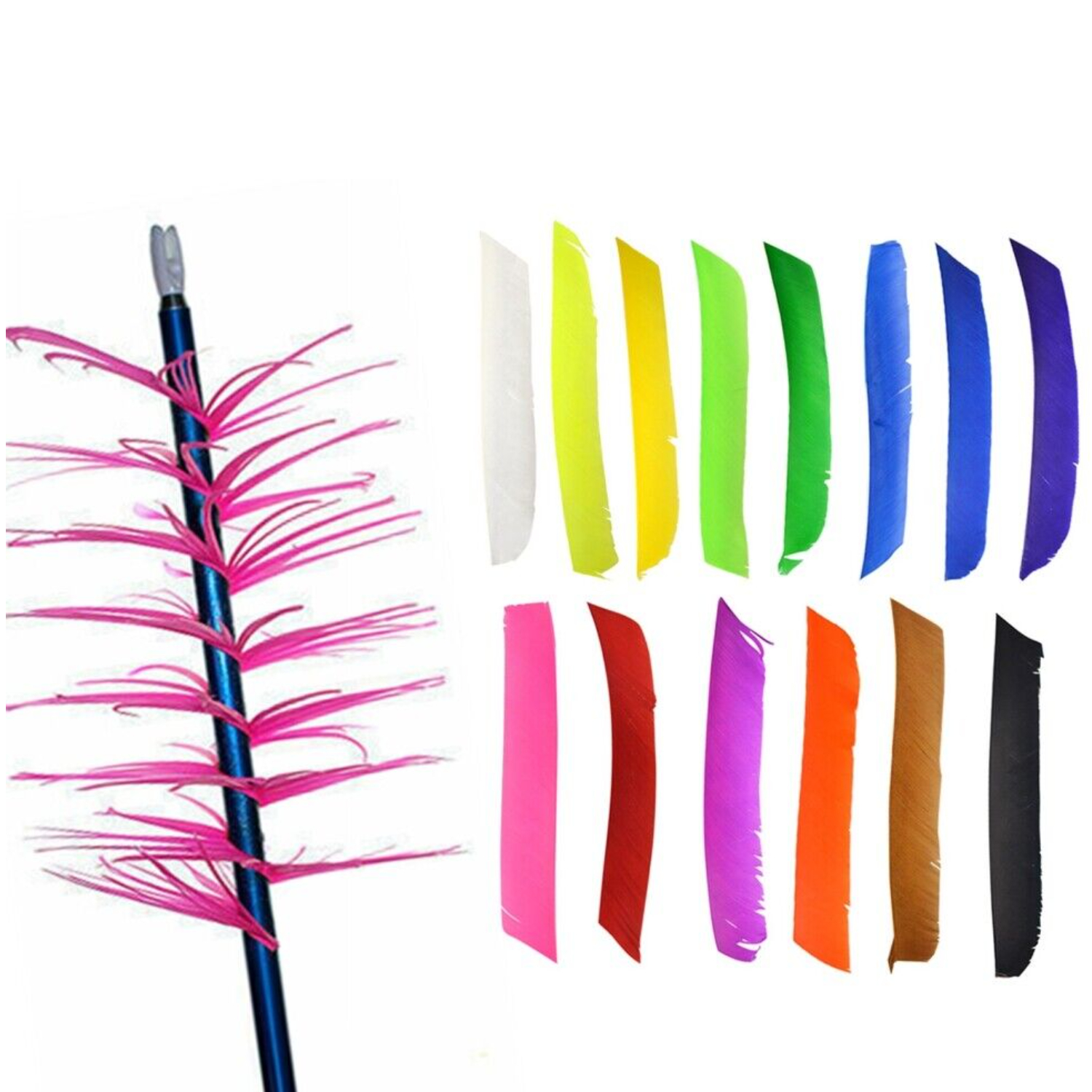 Turkey Fletches Full Length Arrow Feathers Archery DIY Left Wings