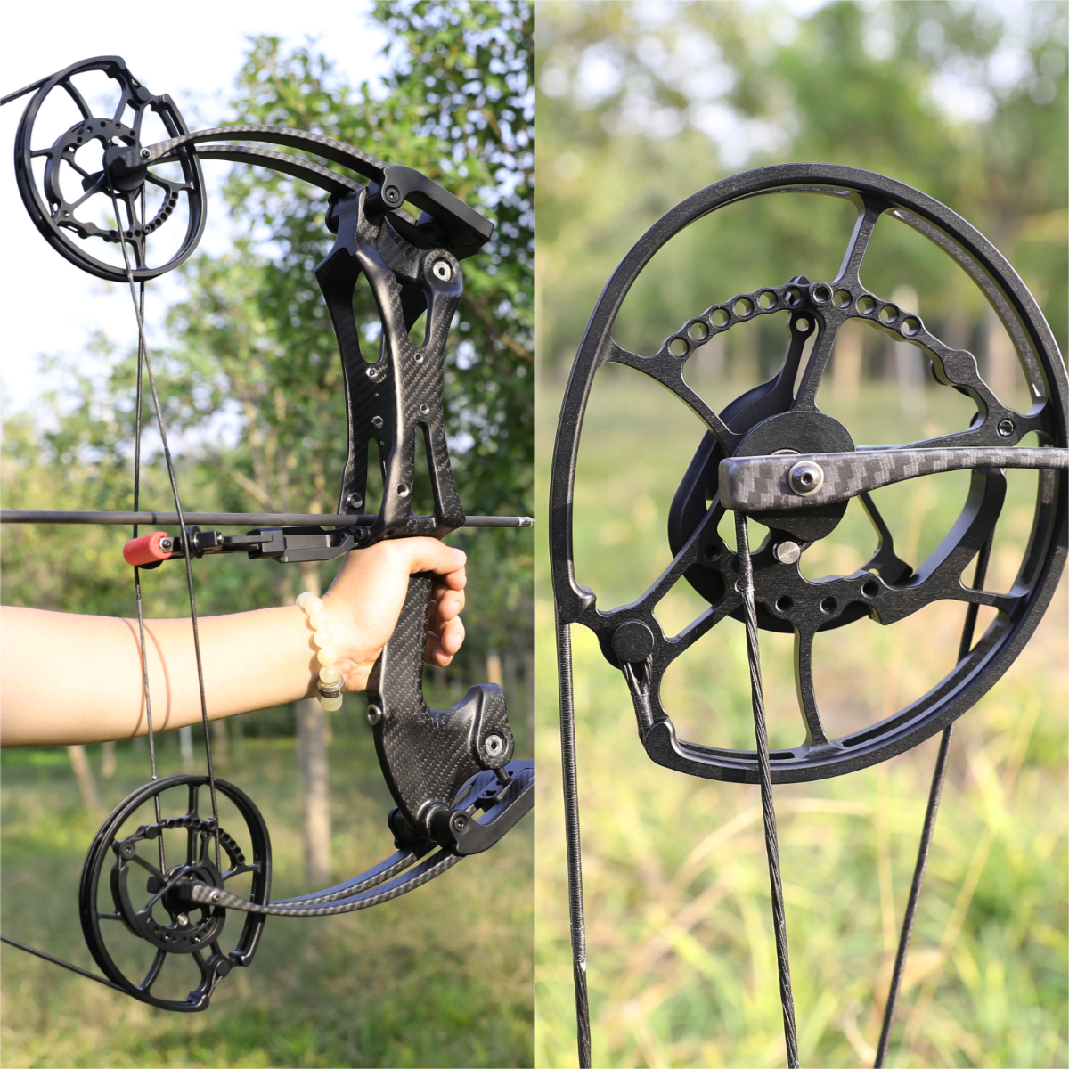 ALIEN Carbon Compound Bow Steel Ball Arrows  Hunting Fishing RH LH