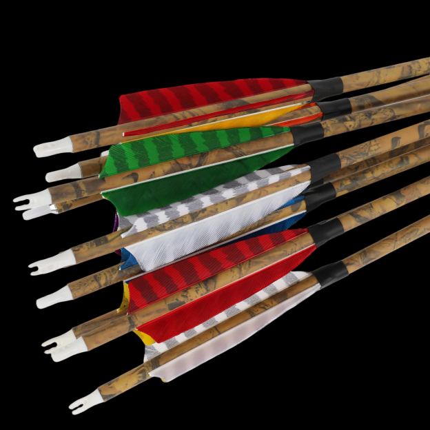  Carbon Arrows 500 Spine 4 Inch Feathers
