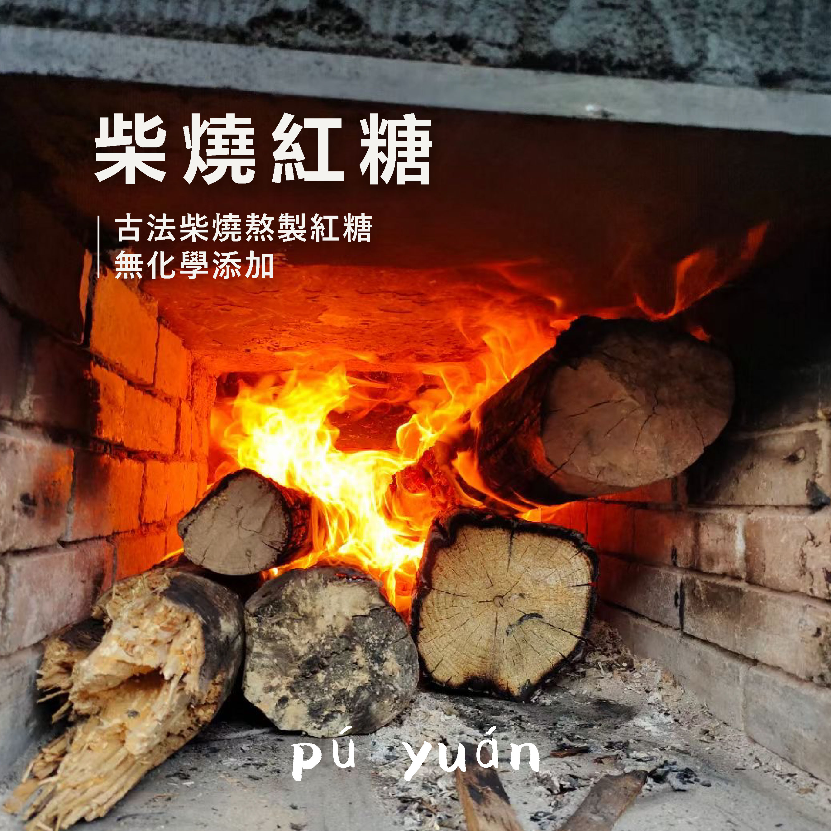 【璞原 PuYuan】红糖姜枣膏 Ginger Jujube Tea Paste