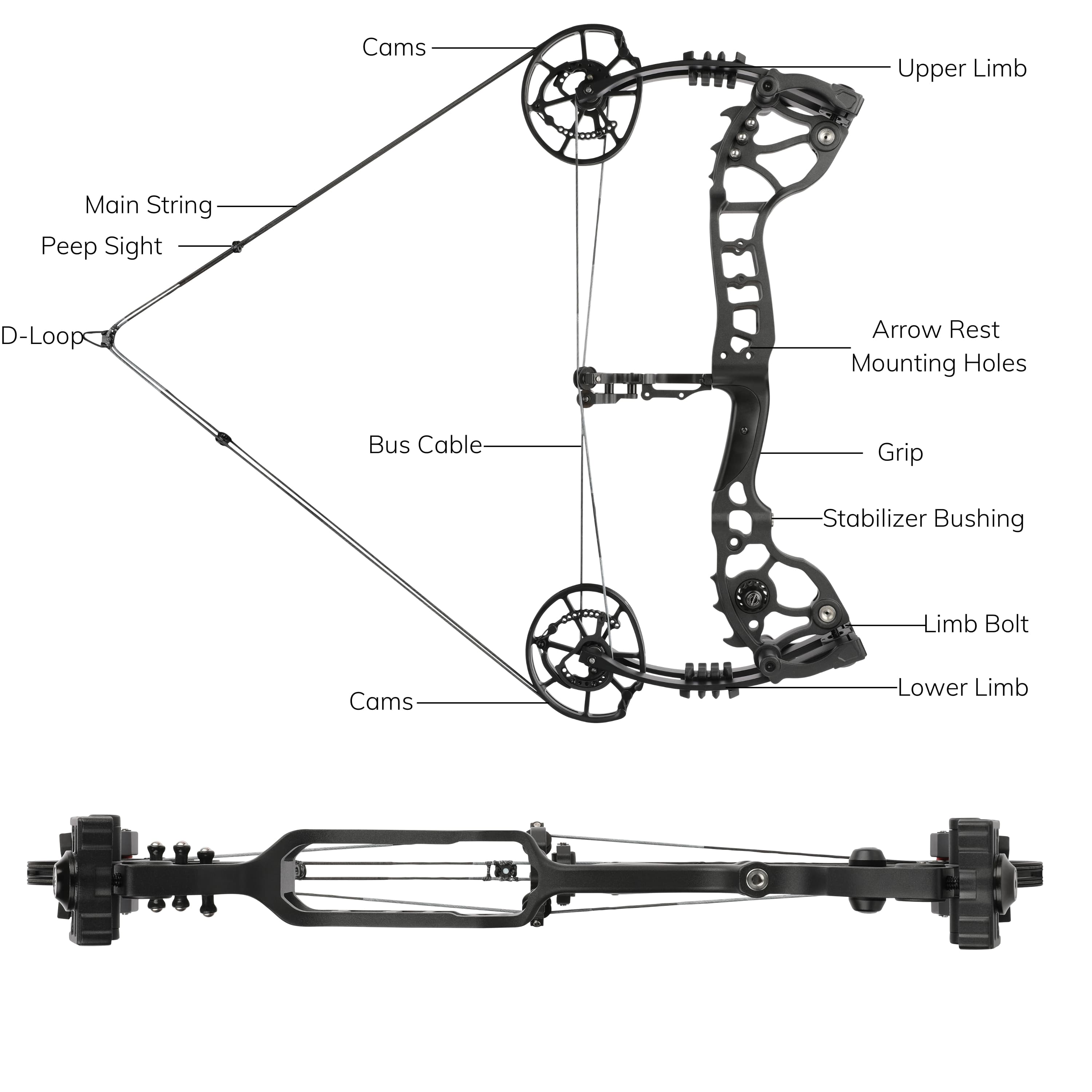 20-70lbs Compound Bow set Shooting Steel Ball Target Archery